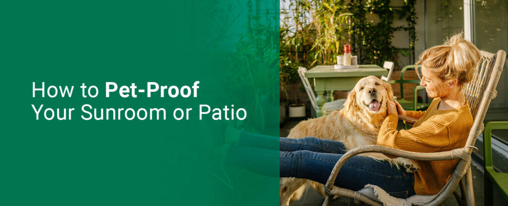 How to Pet-Proof Your Sunroom or Patio