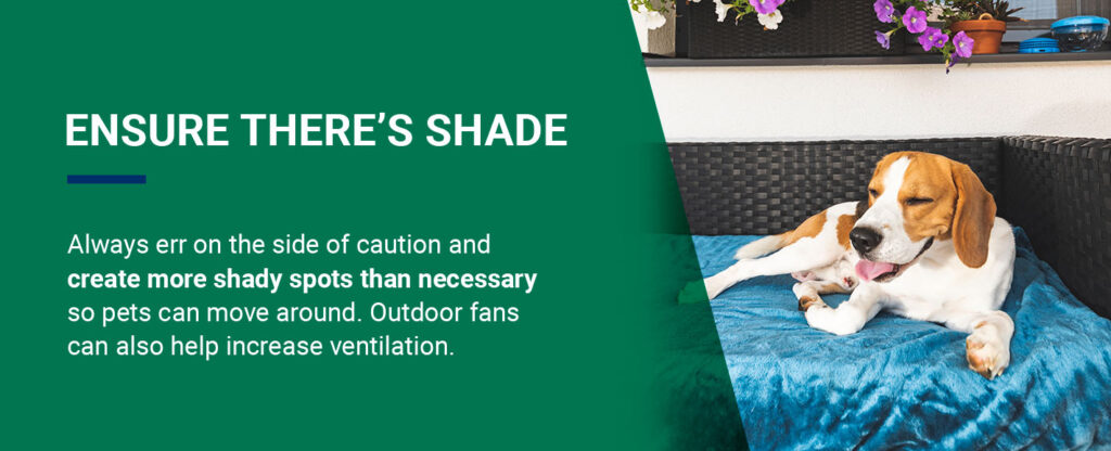 Ensure There’s Shade